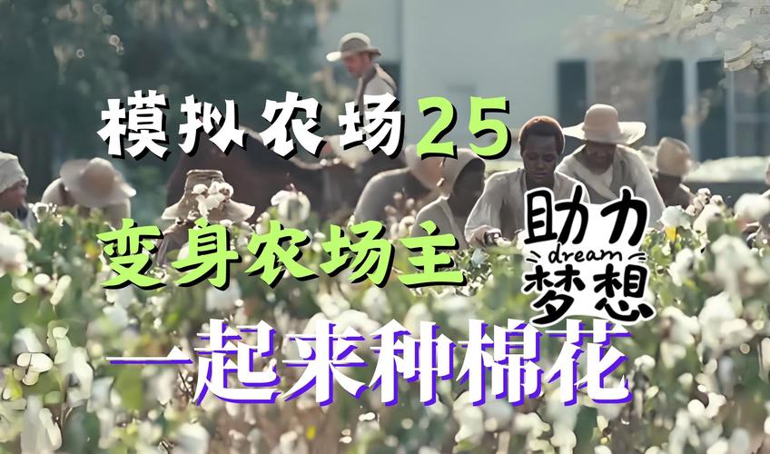 《模拟农场25》棉花种植攻略：高效收获20000单位技巧